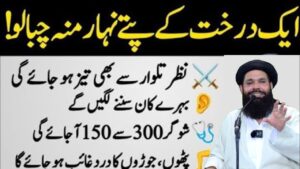 Foreigners Face Tougher Immigration Rules